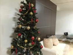 Blk 227B Compassvale Drive (Sengkang), HDB 5 Rooms #111103422